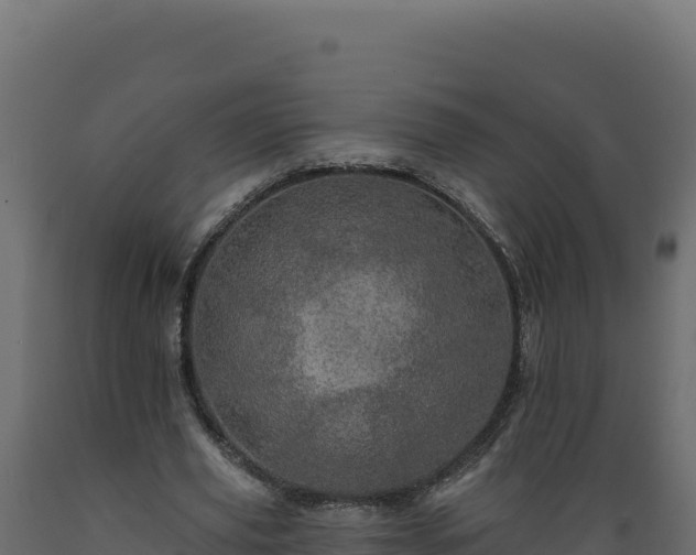 X0000089940629200707061101