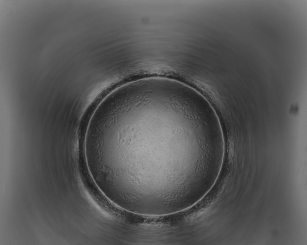 X0000089940630200707061101