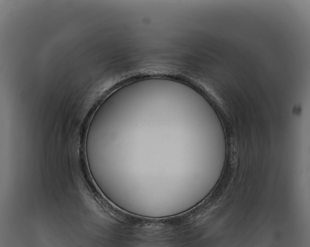 X0000089940631200707061101