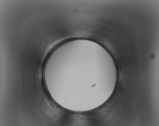 X0000089940632200707061101