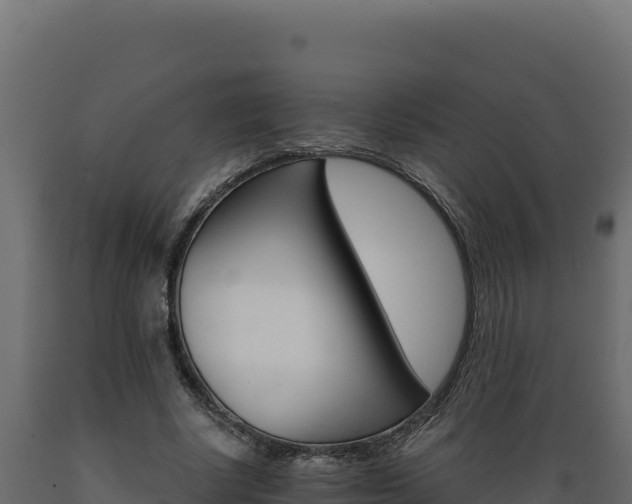 X0000089940634200707061101