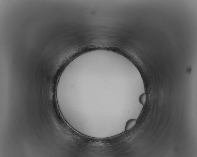 X0000089940635200707061101