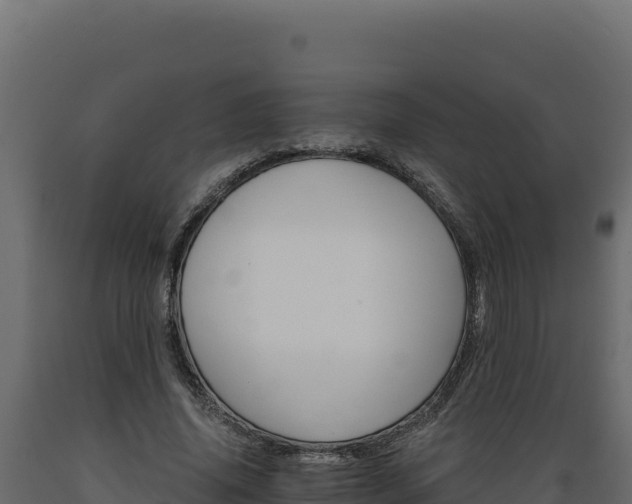 X0000089940636200707061101