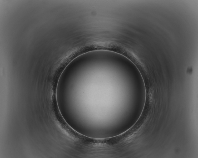 X0000089940637200707061101