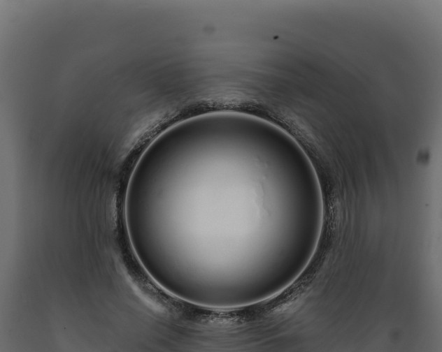 X0000089940638200707061101