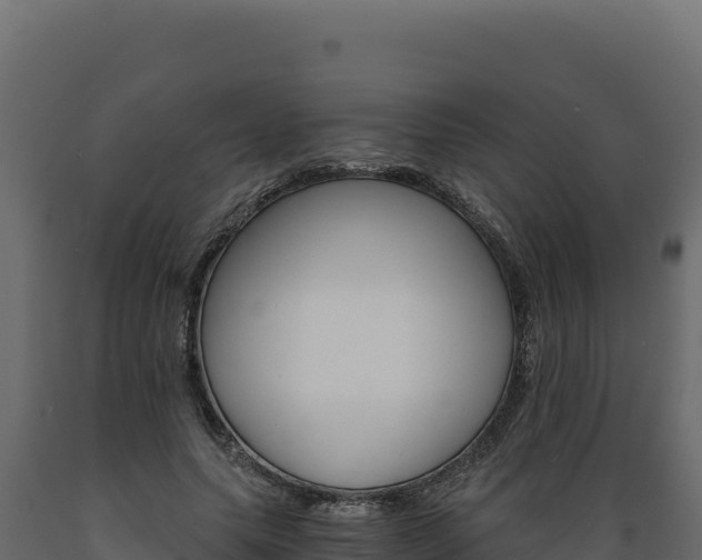 X0000089940639200707061101