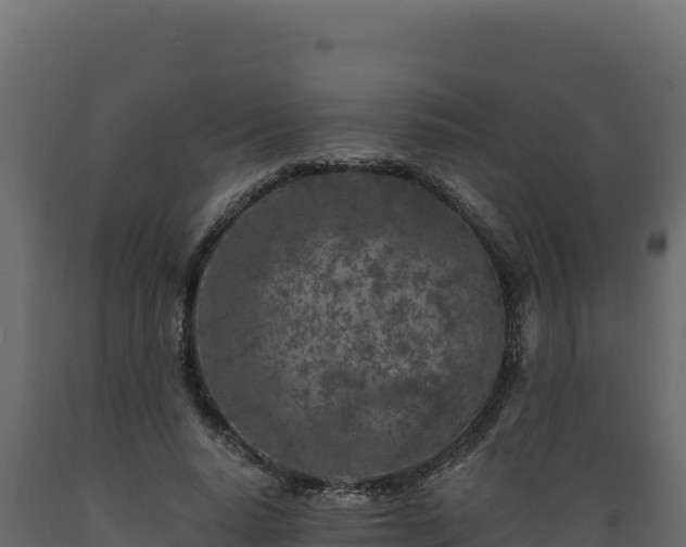 X0000089940640200707061101