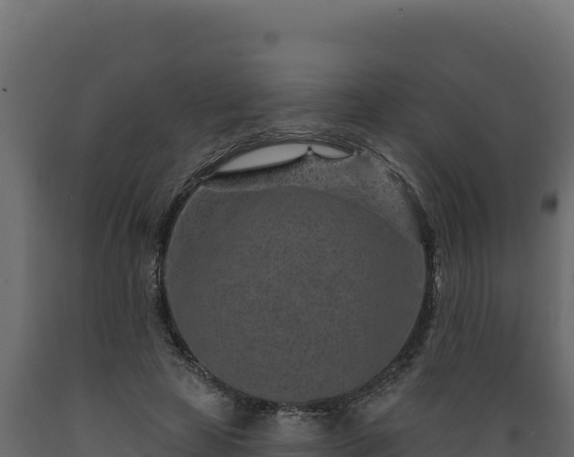 X0000089940641200707061101