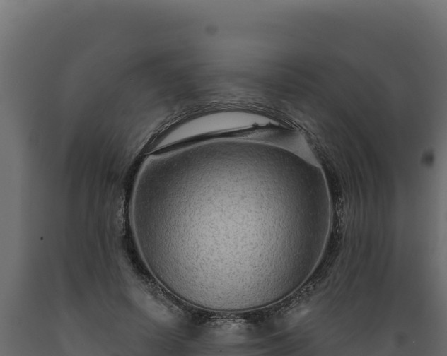 X0000089940642200707061101