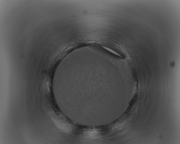 X0000089940643200707061101