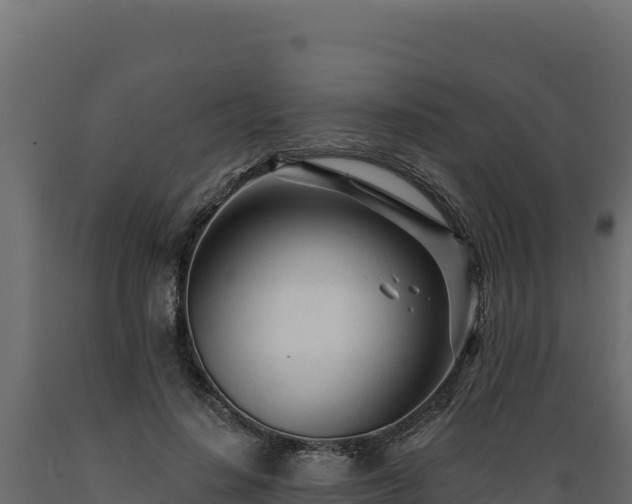 X0000089940644200707061101