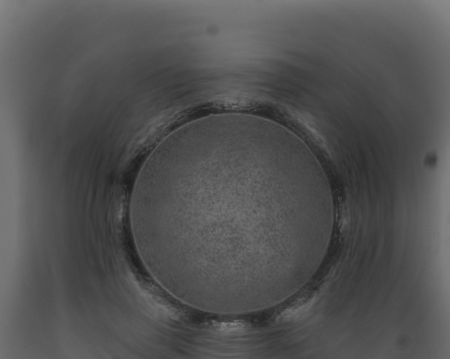 X0000089940645200707061101