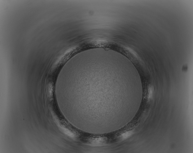 X0000089940646200707061101