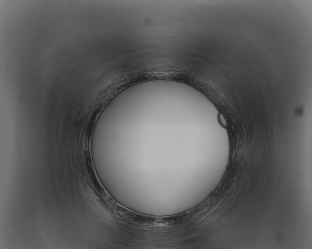 X0000089940647200707061101