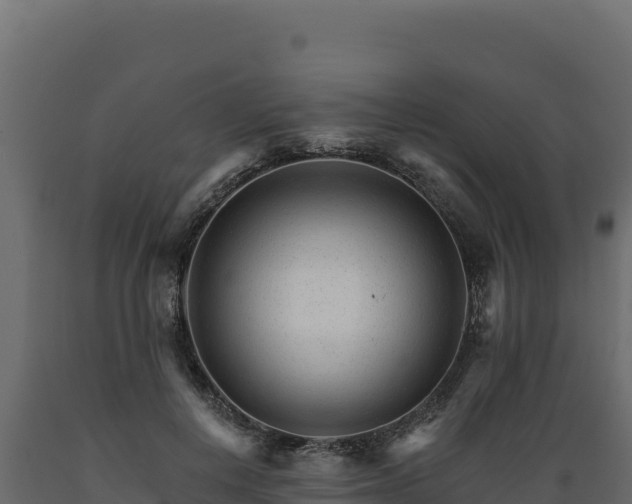 X0000089940648200707061101