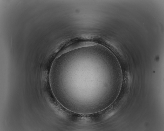 X0000089940649200707061101