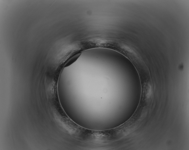 X0000089940650200707061101