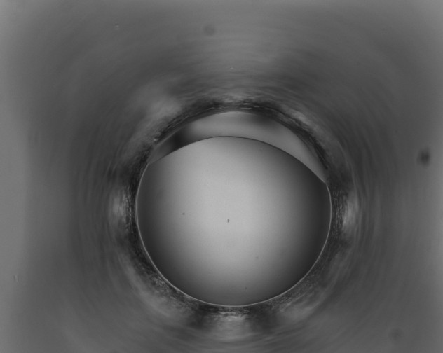 X0000089940651200707061101