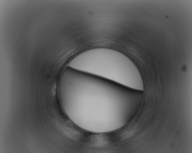 X0000089940652200707061101