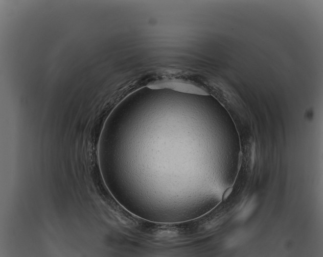 X0000089940653200707061101