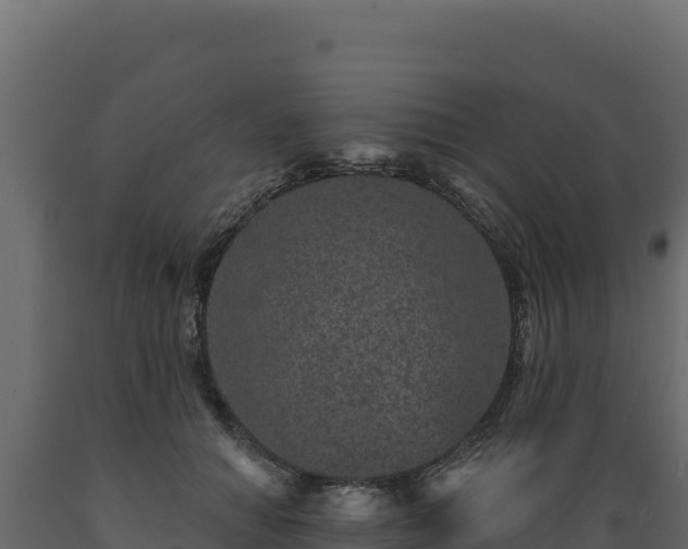 X0000089940654200707061101