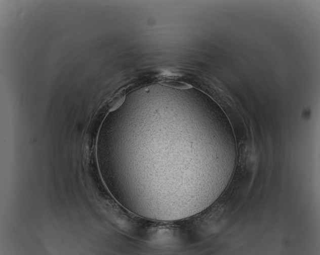 X0000089940655200707061101