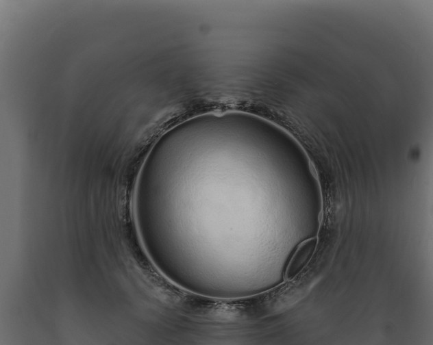 X0000089940656200707061101