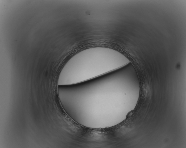 X0000089940657200707061101