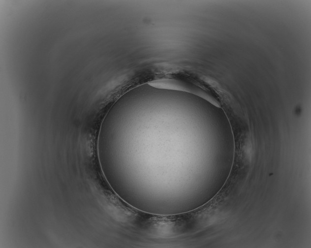 X0000089940658200707061101