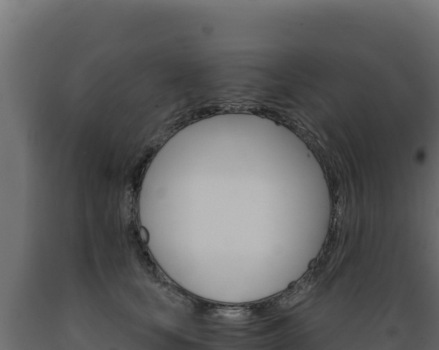 X0000089940659200707061101