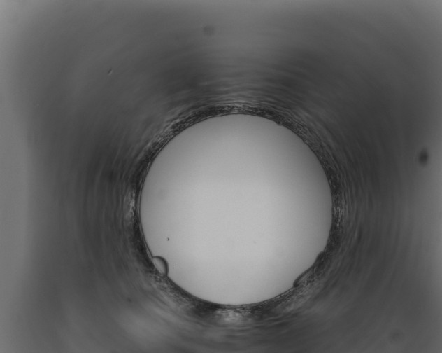 X0000089940660200707061101