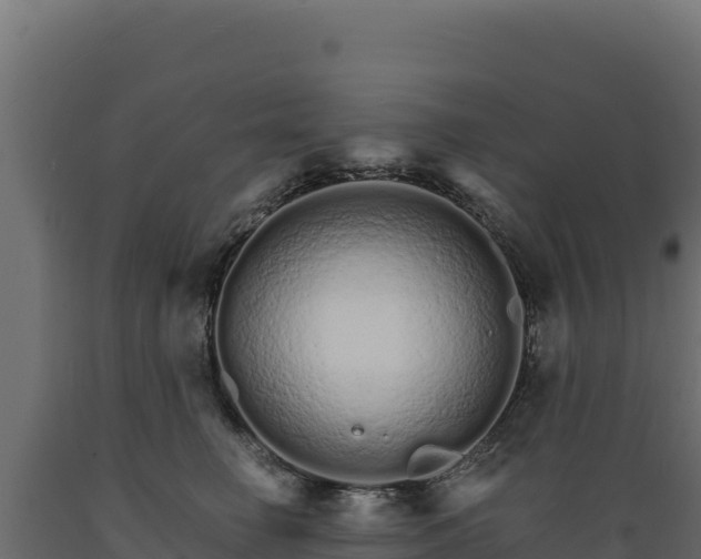 X0000089940662200707061101