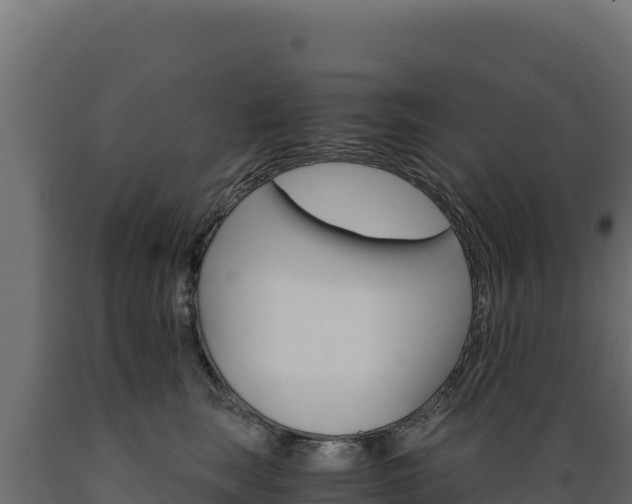 X0000089940663200707061101