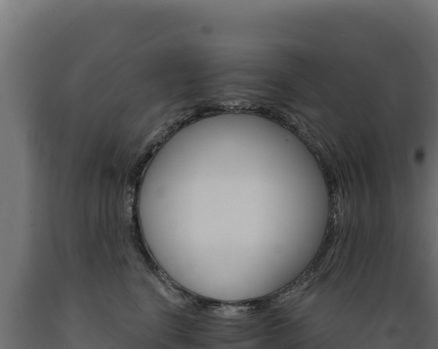 X0000089940664200707061101