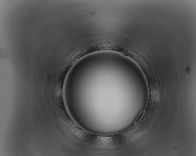 X0000089940665200707061101