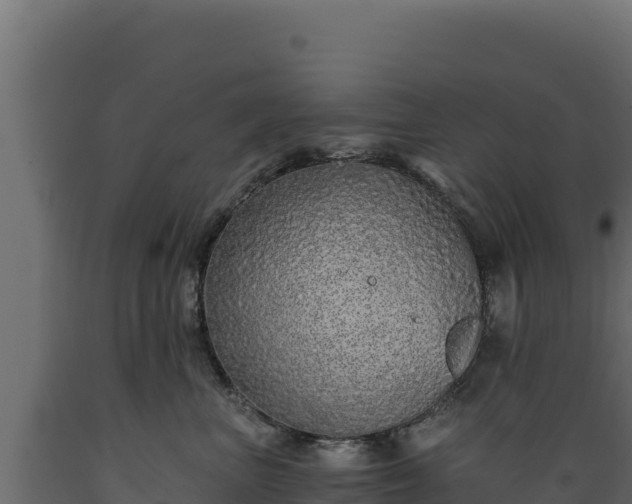 X0000089940667200707061101