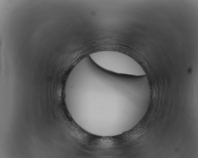 X0000089940668200707061101