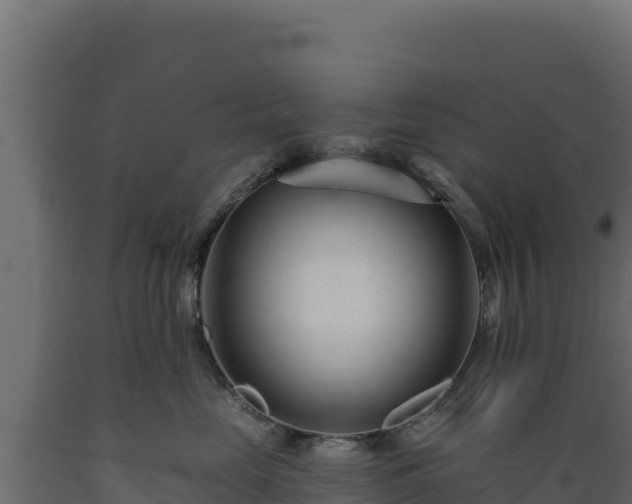 X0000089940669200707061101