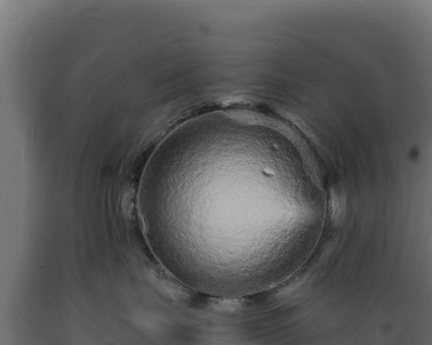 X0000089940671200707061101