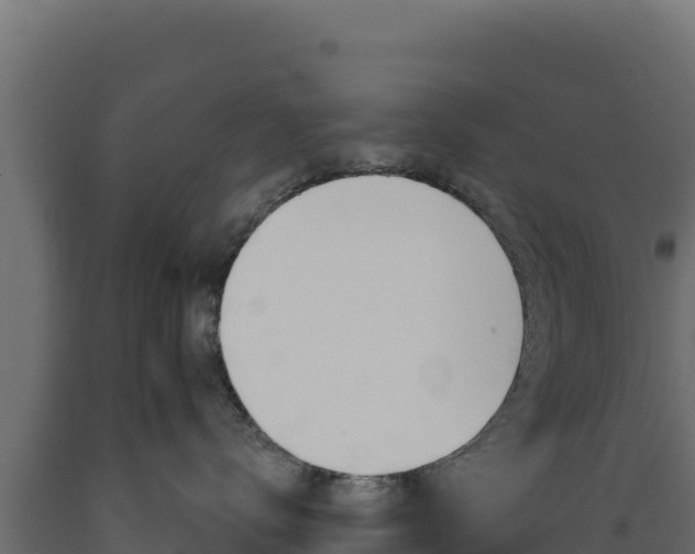 X0000089940672200707061101