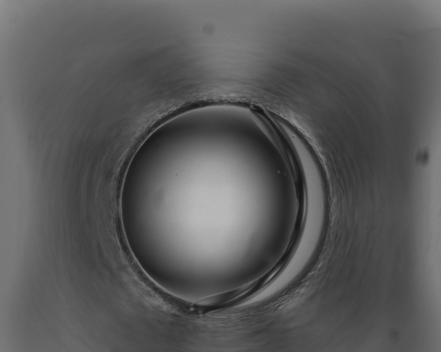 X0000089940673200707061101