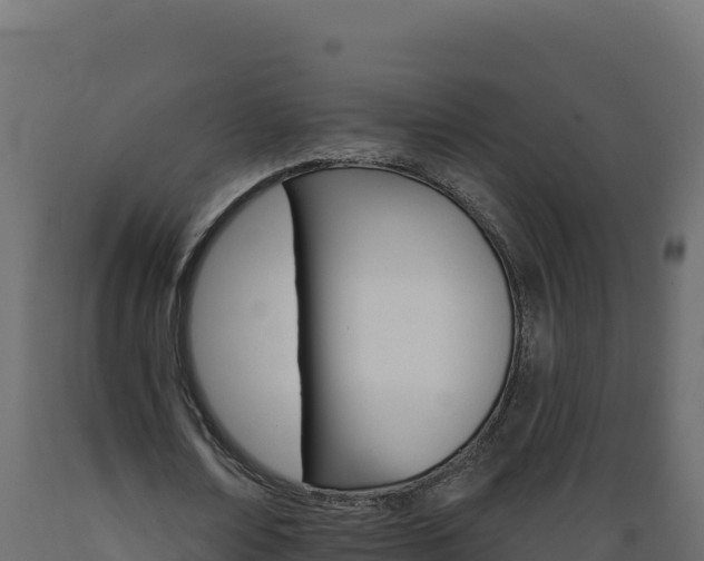 X0000089940674200707061101