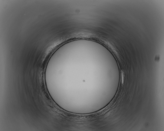 X0000089940675200707061101