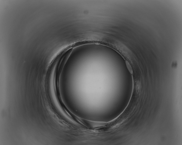 X0000089940676200707061101