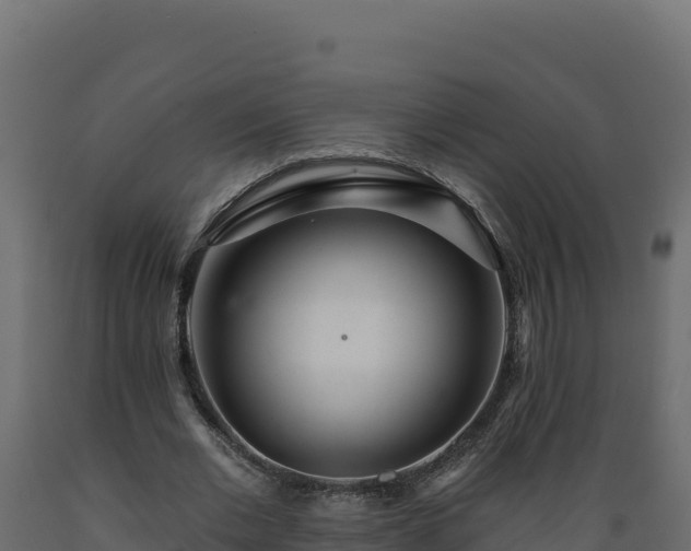 X0000089940677200707061100