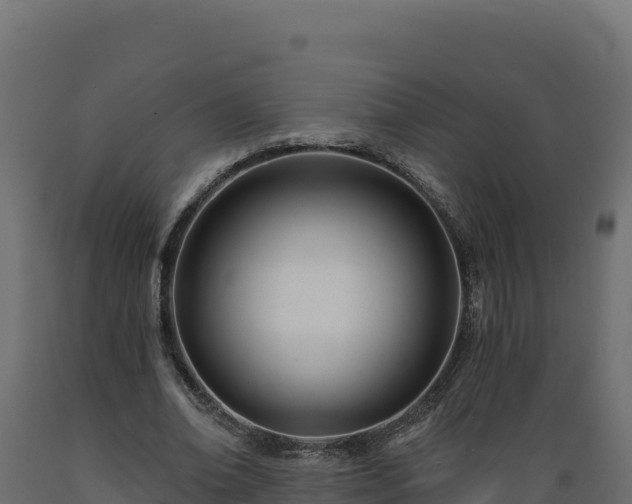 X0000089940678200707061100