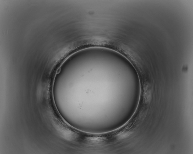 X0000089940679200707061100