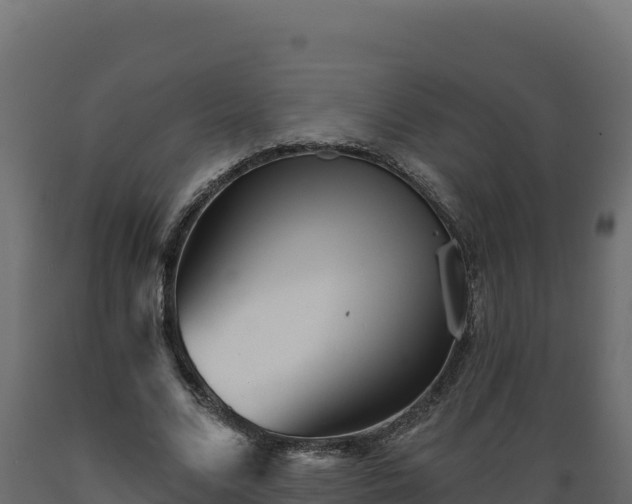 X0000089940680200707061100