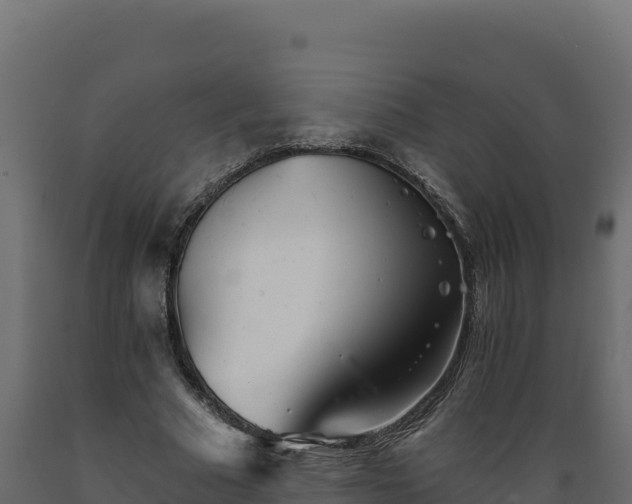 X0000089940681200707061100