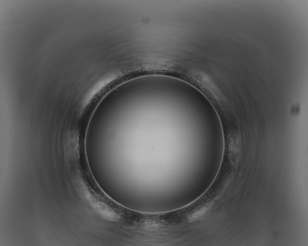 X0000089940684200707061100